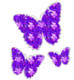 Butterflies graphics