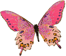 Butterflies graphics