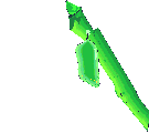 Butterflies graphics