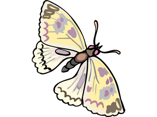 Butterflies graphics