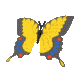 Butterflies graphics
