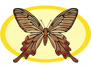 Butterflies graphics