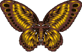 Butterflies graphics