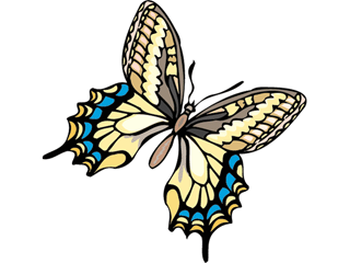 Butterflies graphics