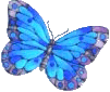 Butterflies graphics