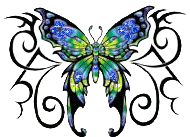 Butterflies graphics