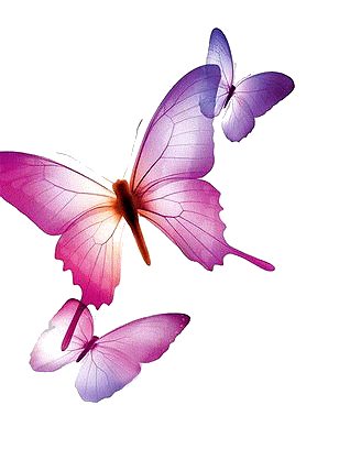 Butterflies graphics