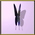 Butterflies graphics