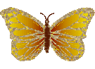 Butterflies graphics