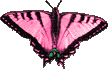 Butterflies graphics