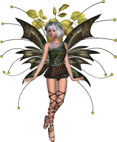 Butterflies graphics