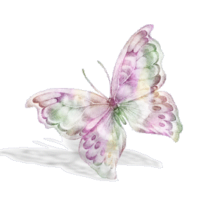 Butterflies graphics