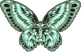 Butterflies graphics
