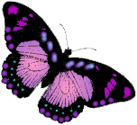 Butterflies graphics