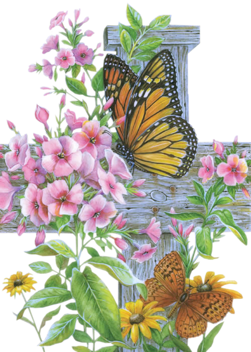 Butterflies graphics