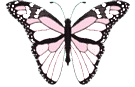Butterflies graphics