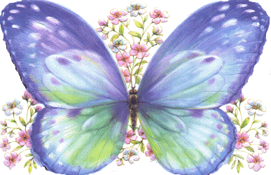 Butterflies graphics