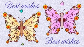 Butterflies graphics