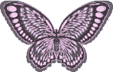 Butterflies graphics