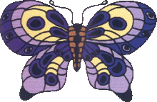 Butterflies graphics