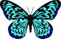 Butterflies graphics