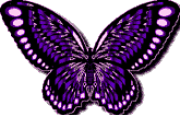 Butterflies graphics