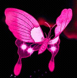 Butterflies graphics