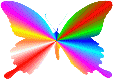 Butterflies graphics