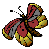 Butterflies graphics