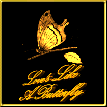 Butterflies graphics