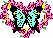 Butterflies graphics