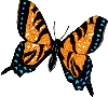 Butterflies graphics