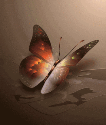 Butterflies graphics