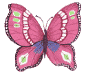 Butterflies graphics