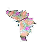 Butterflies graphics