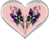 Butterflies graphics