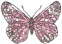 Butterflies graphics