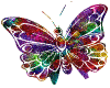 Butterflies graphics