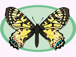 Butterflies graphics