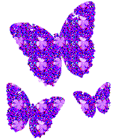 Butterflies graphics
