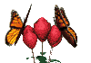 Butterflies graphics