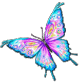 Butterflies graphics