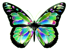 Butterflies graphics