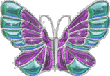 Butterflies graphics