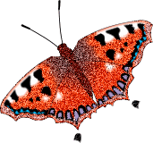 Butterflies graphics