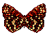 Butterflies graphics