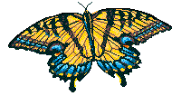Butterflies graphics