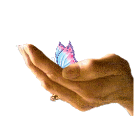 Butterflies graphics