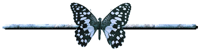 Butterflies graphics