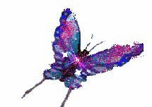 Butterflies graphics